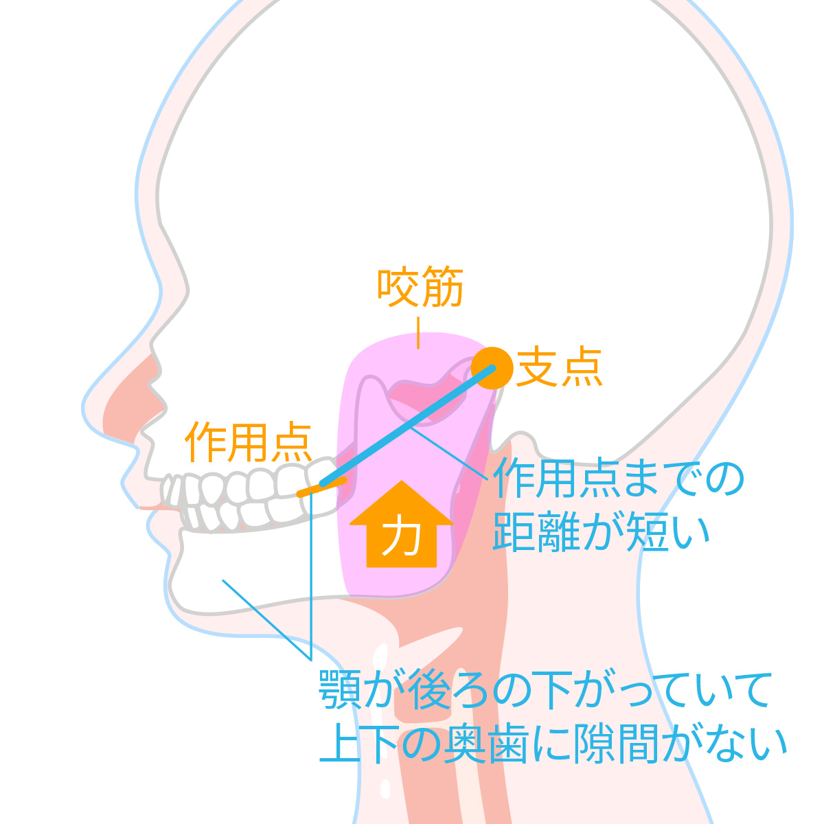 治療前