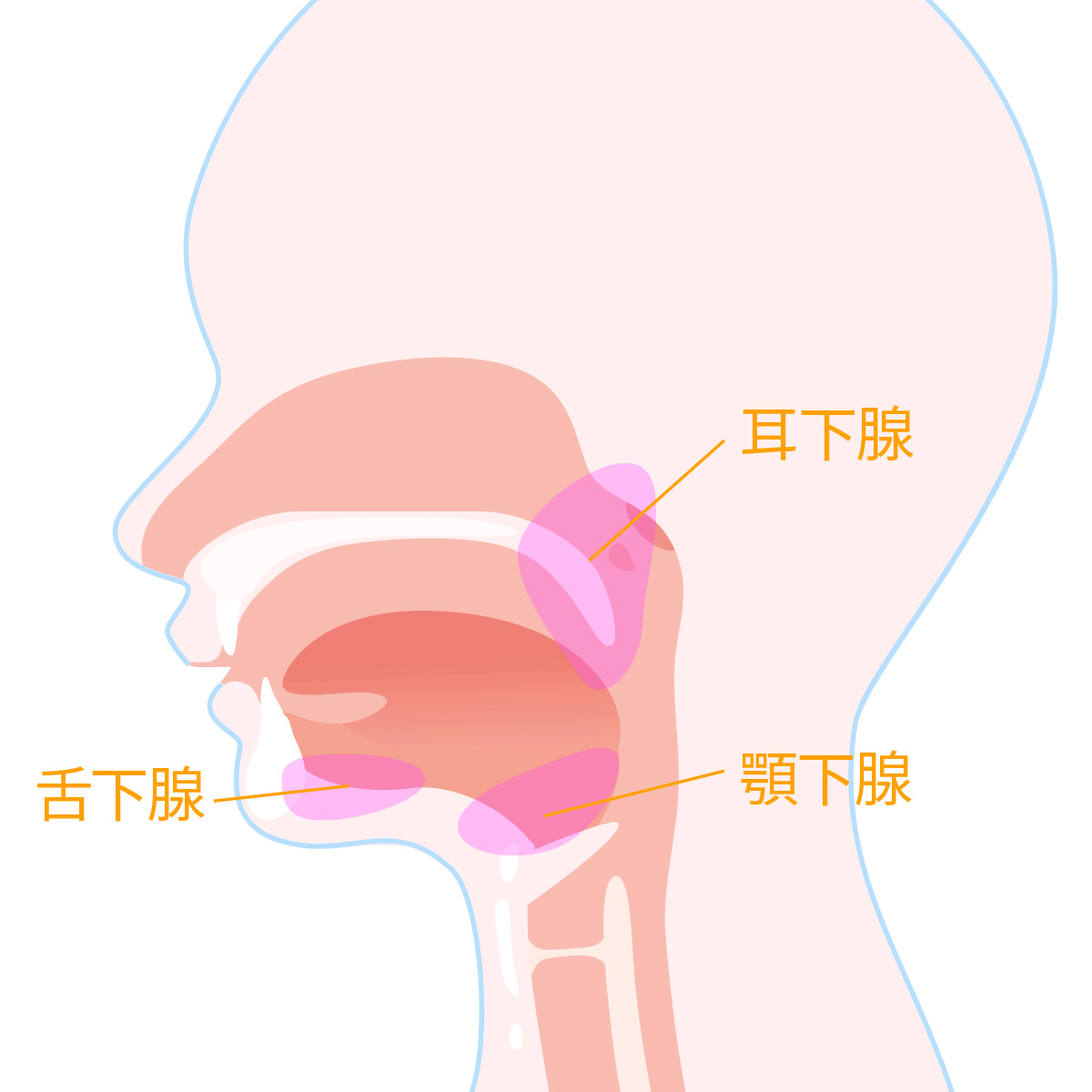 治療前