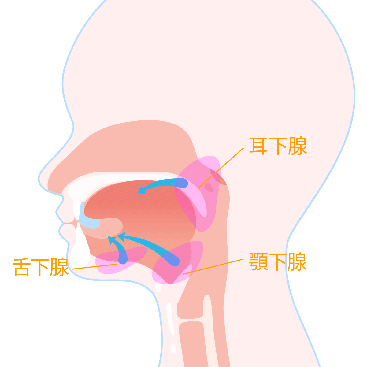 治療後